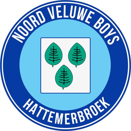 Logo Noord Veluwe Boys